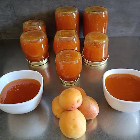 Frühstückspension Bb Letterario