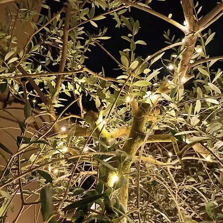 Bb Letterario * ראבנה