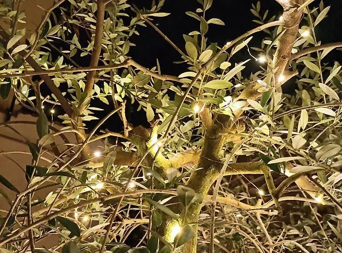 Bb Letterario * Ραβένα